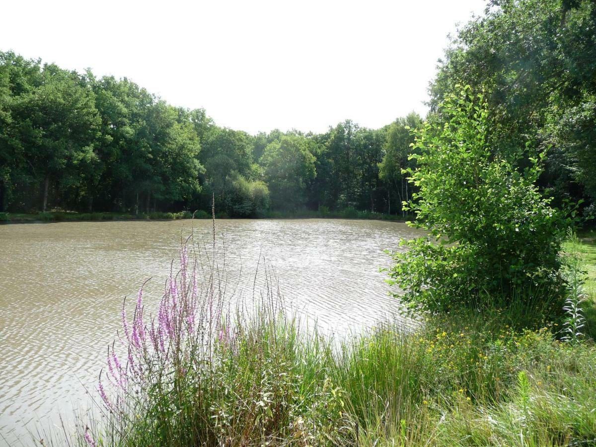 Ferme Des Poulardieres Villa Crouy-sur-Cosson Bagian luar foto