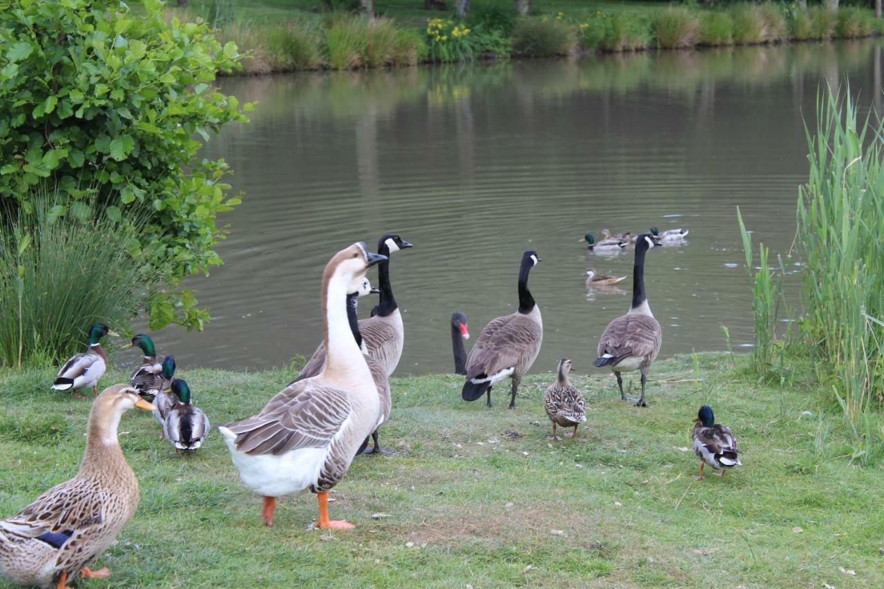 Ferme Des Poulardieres Villa Crouy-sur-Cosson Bagian luar foto